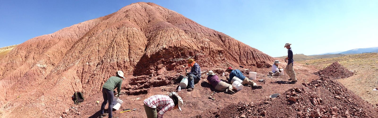 A group excavates on a hillside.