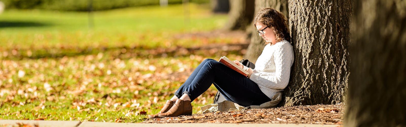 A student sits against a tree on Bascom Hill, studying a book.